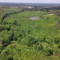 149 Acres in Choctaw County MS images 4