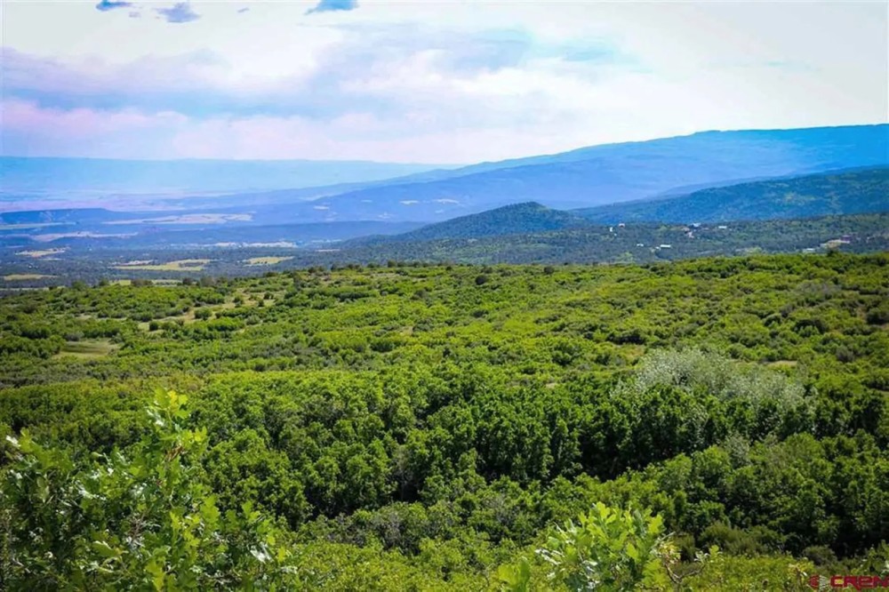 Cedaredge Mountain Land featured image