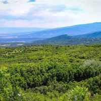 Cedaredge Mountain Land