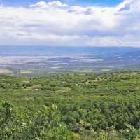 Cedaredge Mountain Land images 3