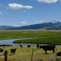 Centennial Ranch images 3