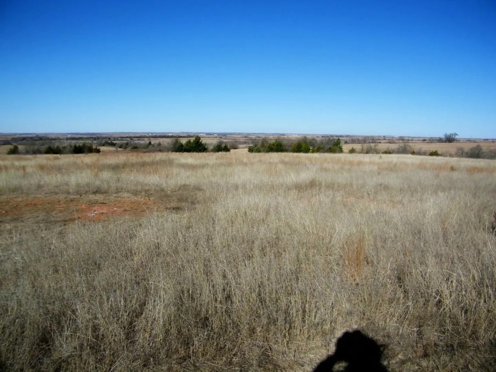 Pasture Land along I35 featured image