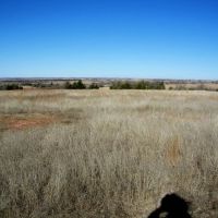 Pasture Land along I35