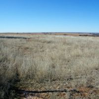 Pasture Land along I35 images 3