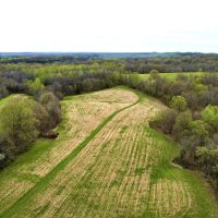 415 Pin Oak Lane Cypress IL 62923 images 4