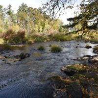 Water Rights - Tillable Acreage Shop - Sheridan Oregon images 2