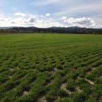 Water Rights - Tillable Acreage Shop - Sheridan Oregon images 3