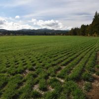 Water Rights - Tillable Acreage Shop - Sheridan Oregon images 4