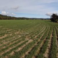 Water Rights - Tillable Acreage Shop - Sheridan Oregon images 5