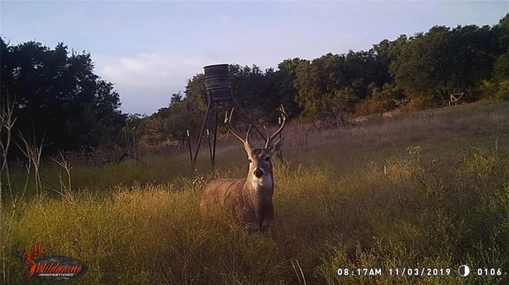 Price Reduction 100 - Acres Coleman County featured image
