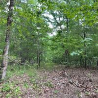 -48.35 Acres on Anthony Road in Pickens SC