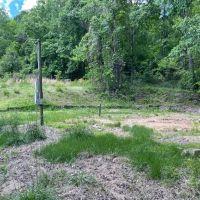 -48.35 Acres on Anthony Road in Pickens SC images 2