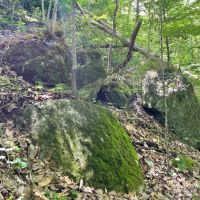 -48.35 Acres on Anthony Road in Pickens SC images 5