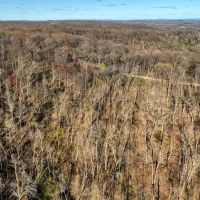 Prime 34 - Acre Parcel in La Crosse County Wisconsin images 5
