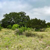 35 Acres on North Llano River images 4