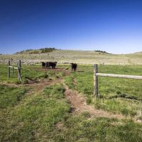 Horseshoe Foothills Ranch images 5