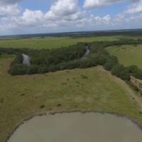 1450 Acre Row Crop Farm in Brazoria County images 2