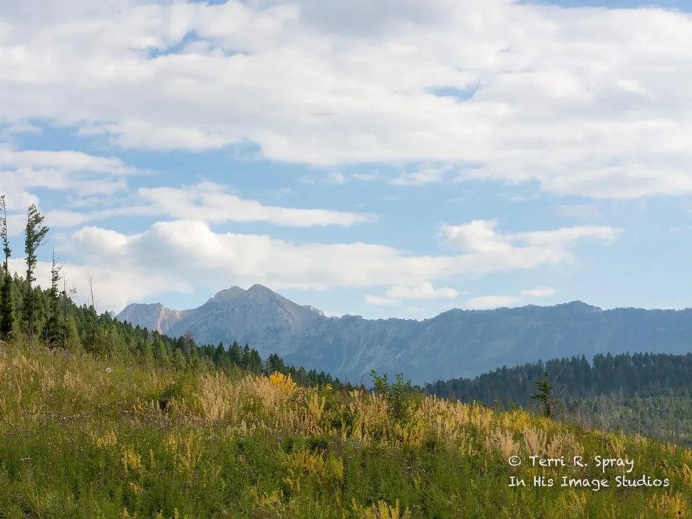 East Bridger Refuge featured image