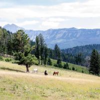 East Bridger Refuge images 2
