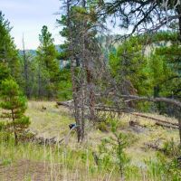 Box Canyon Beauty images 4