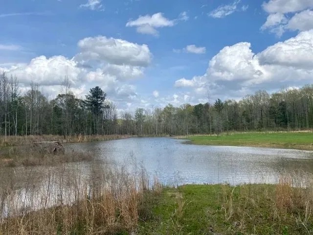 200 acres Montgomery Co. featured image