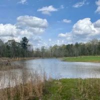 200 acres Montgomery Co.
