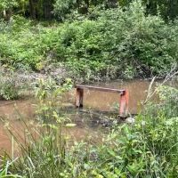200 acres Montgomery Co. images 4