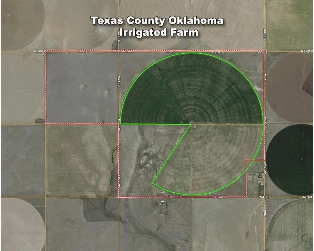 780 Acre Clay Farm For Sale featured image