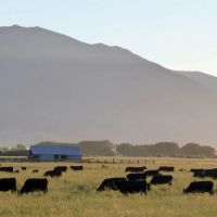 Northeast Oregon s Premier Estate The DLX Ranch images 3