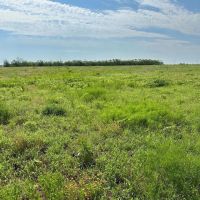 Available 27 Acres Tract 23 Callahan County images 2
