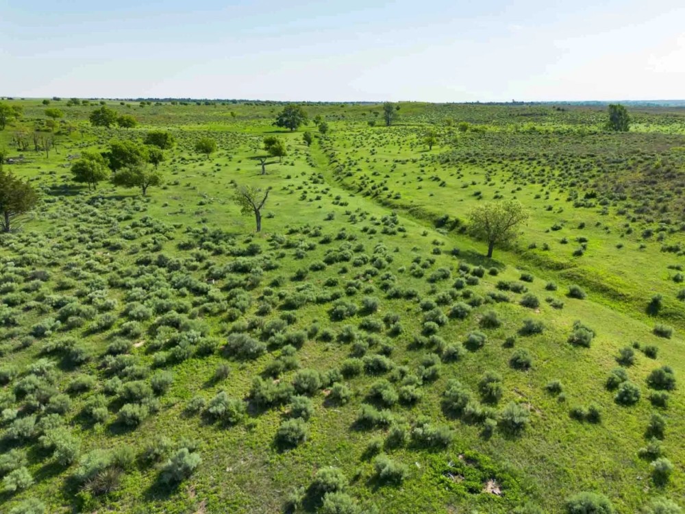 8040 County Road 2 Mobeetie TX 79061 featured image