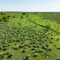 8040 County Road 2 Mobeetie TX 79061