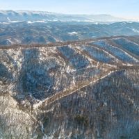 Large Timber Tract for Sale in Bluefield VA
