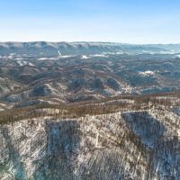Large Timber Tract for Sale in Bluefield VA images 5