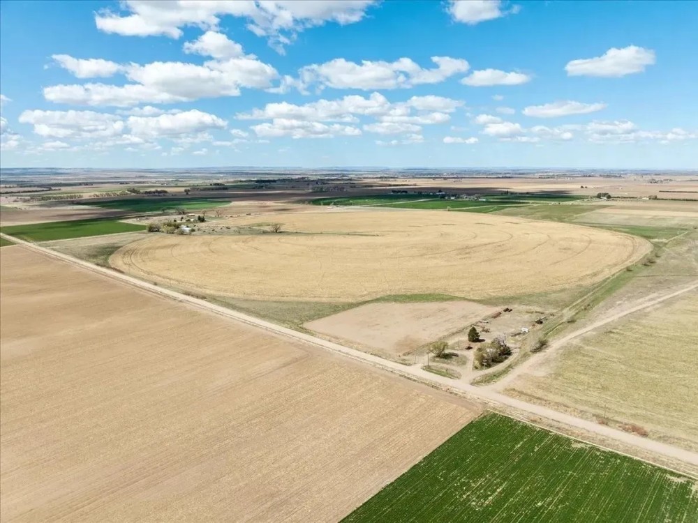 A13 Farm featured image
