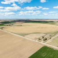 A13 Farm
