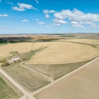 A13 Farm images 2