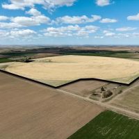 A13 Farm images 3