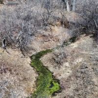 Deadhorse Creek Ranch images 2