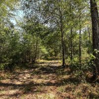 0 Hwy 105 Hull TX 77564