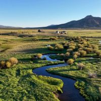 The Kuiper Ranch