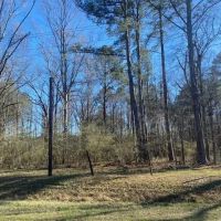 4 Tracts- Bogue Chitto School District images 2