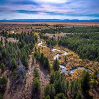 Arrow Ranch images 2