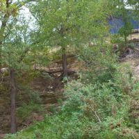 Riverfront Hunting Cattle Ranch in Evant TX images 3