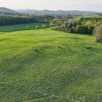 Lewis Family Farm images 3
