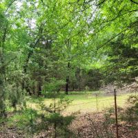 Wooded 6-Acres For Sale in Clarksville TX