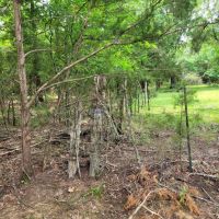 Wooded 6-Acres For Sale in Clarksville TX images 4