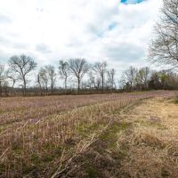 TBD Arrow Rock Rd Blackwater MO images 2