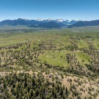 50 Acres of Amazing Hunting Recreational Residential Use LAND images 2
