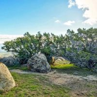 Freestar Hunting Properties images 2